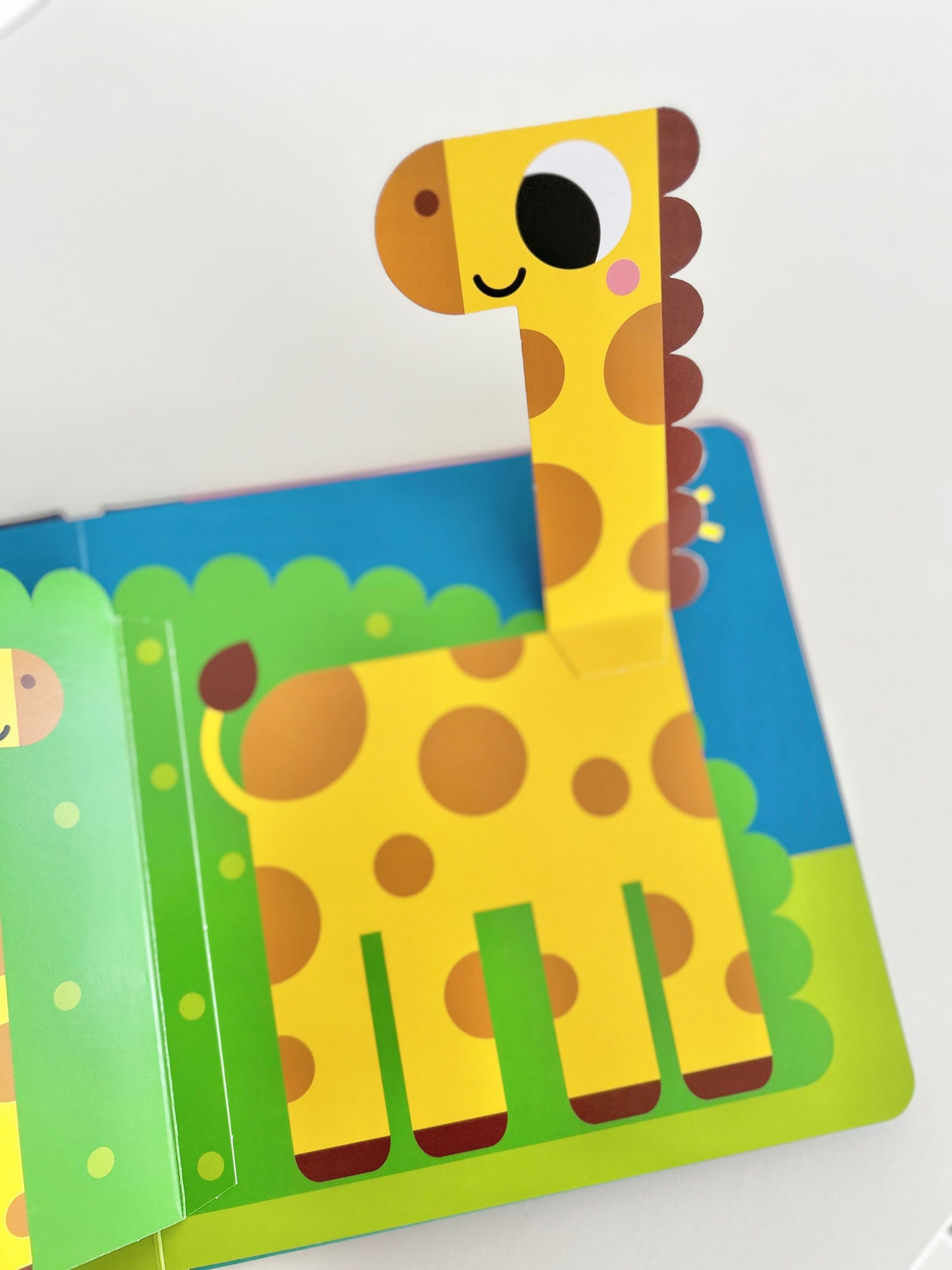 Ko se skriva – U zoo vrtu
