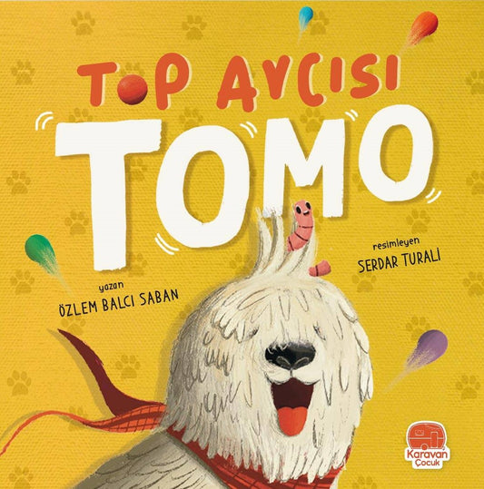 Top Avcısı Tomo